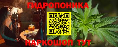 прущие крисы Гусев