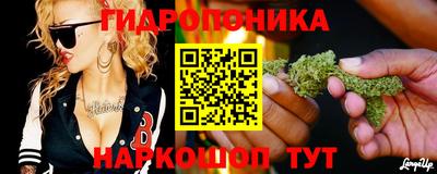 прущие крисы Гусев