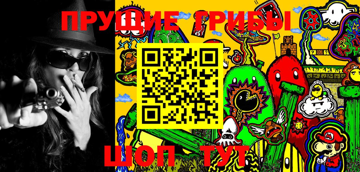 дарнет шоп  Вход с VPN  Галлюциногенные грибы Psilocybine cubensis  Каменск-Шахтинский  Галлюциногенные грибы прущие грибы 